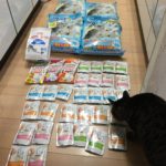 猫用品の買い物。年末の準備?必要ないと思ったのに…激安で